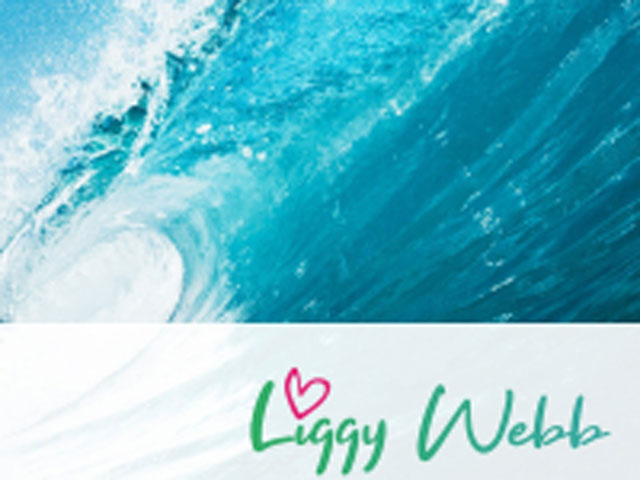 Click image to read more information