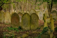 Cemetery Management for Local Councils