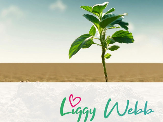 click the image for more details